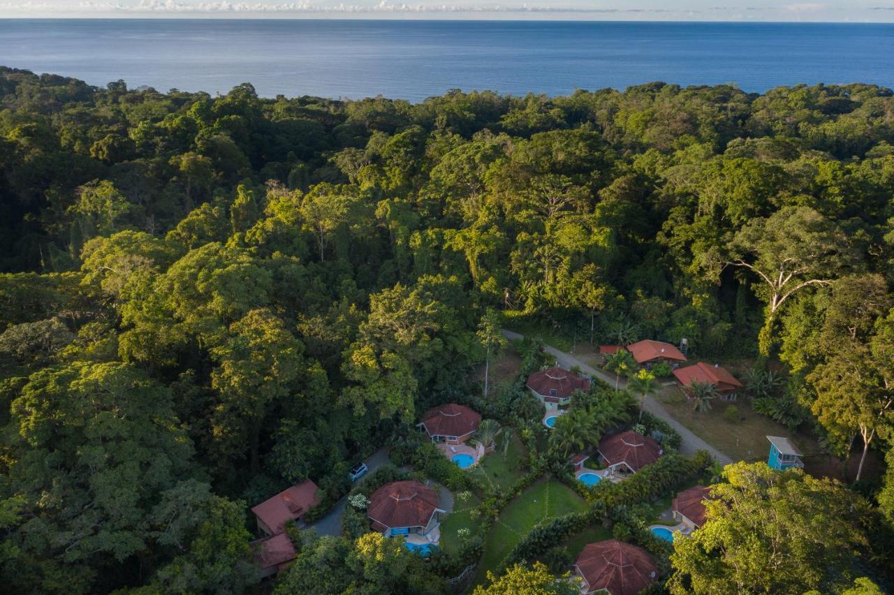Lomas Del Caribe Villa Puerto Viejo de Talamanca Buitenkant foto